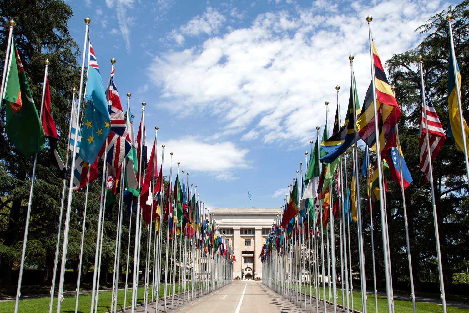 Flags of many nations flying together.